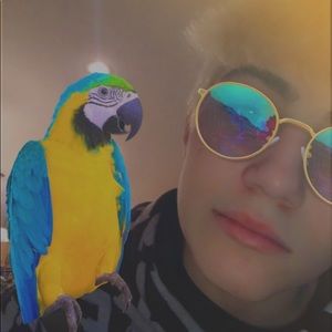 Meet your Posher, Sam